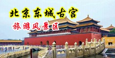 操免费片中国北京-东城古宫旅游风景区